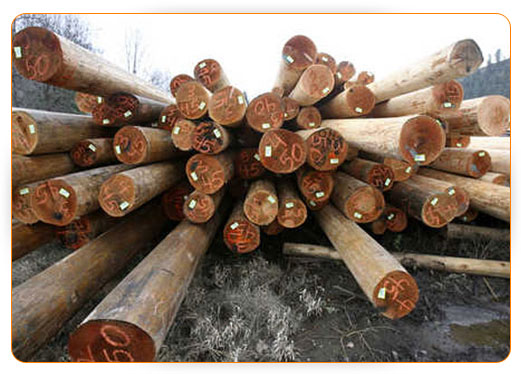 Trade Image